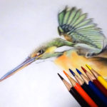 初めての色鉛筆画で「鳥」を描くのに挑戦！選び方とコツは分かるのか？【初心者おじさんの趣味入門】