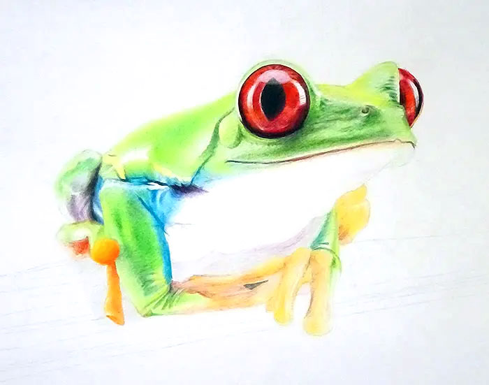 色鉛筆画で「カエル」を写真のようなリアルなイラストで描く描き方