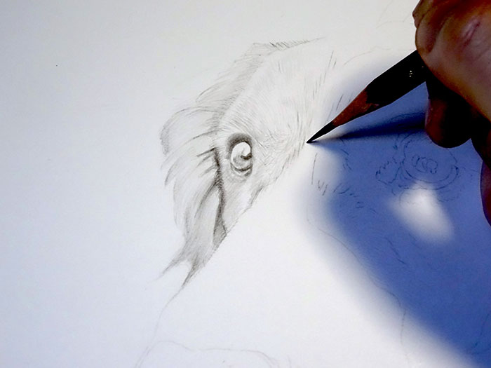 鉛筆画入門！「犬」動物画の描き方と手順：鉄筆の練習：イラスト