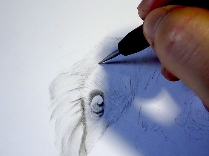鉛筆画入門！「犬」動物画の描き方と手順：鉄筆の練習：イラスト