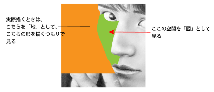 顔のラインというより鼻と目と頬の間の空間の形を「図」として見てます。同時に「図と地」を反転して顔のラインを見ます。